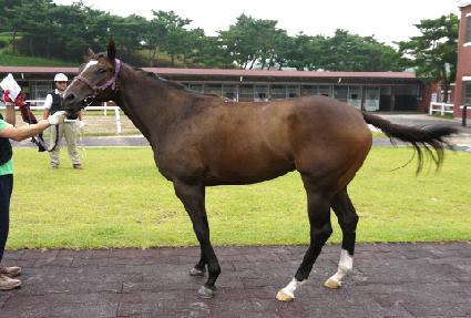 ����Ÿ�� ����