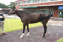 ������Ĺ (FRESH CAT) ����