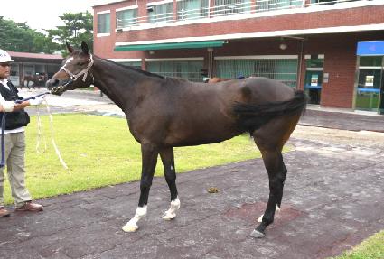 ������Ĺ ����