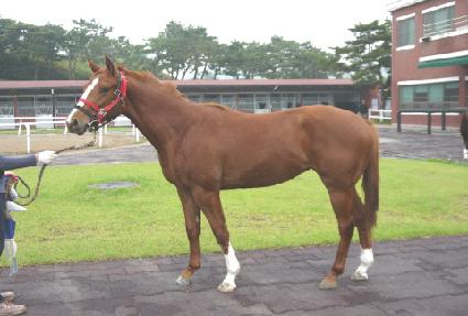 ����� ����