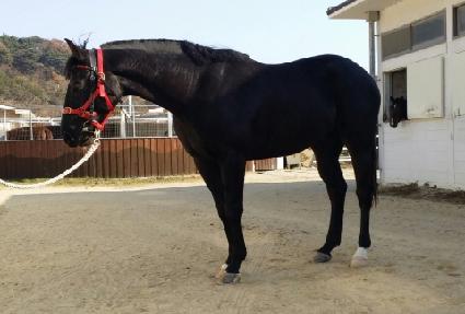 �����ũ ����