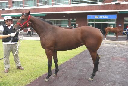 �뵹�� ����