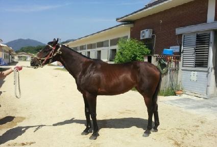 Ǯ���� ����