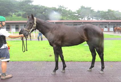 ��û ����