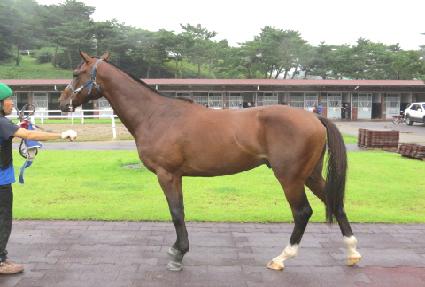 ������̽� ����