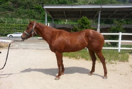 ������� ����