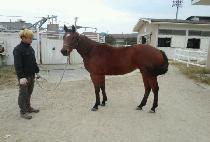 ��ȭ (SEONHWA) ����