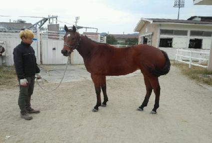 ��ȭ ����