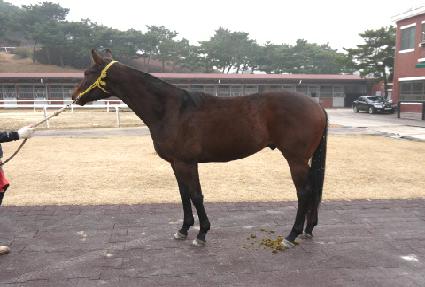 �Ŀ���Ƽ ����