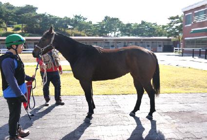 �׳׽��� ����