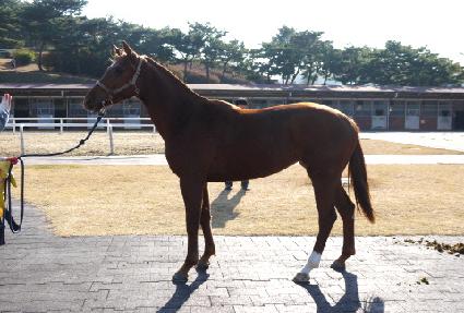 ���дϾ� ����