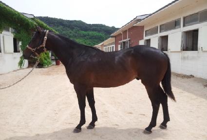 �Ѱ��Ǳ��� ����