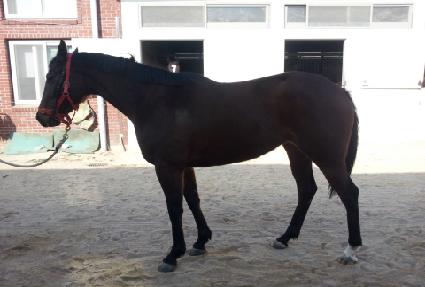 ����� ����