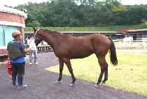 ���ǸӴ� (HAPPY MONEY) ����