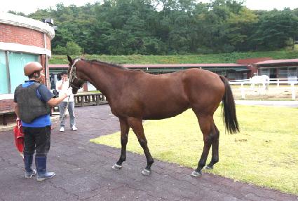 ���ǸӴ� ����