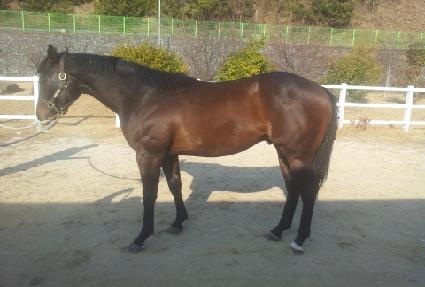 ��û�� ����