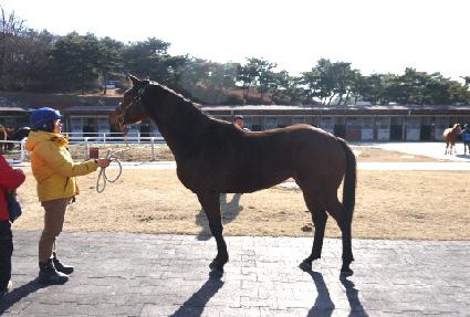 �ö��̺��� ����