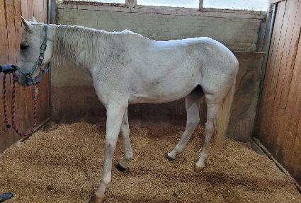 �Ͼ���� ����