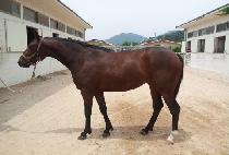 �������� (MUGONG HUNJANG) ����