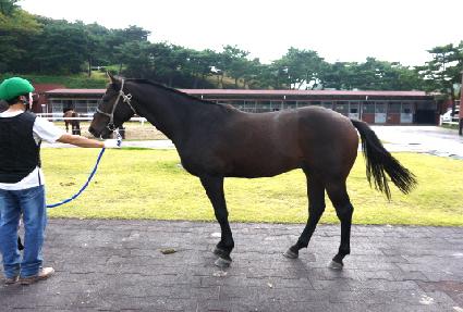 ��λ� ����