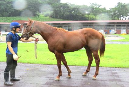 �ö���Ĺ ����