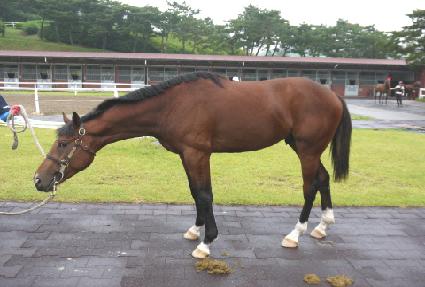 �ö����� ����