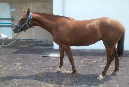 ��ٽ��۽�Ÿ ����