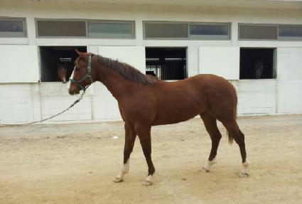 �����ѿ��� ����