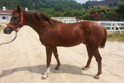 �׷�����ũ ����