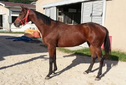 ����Ÿ ����