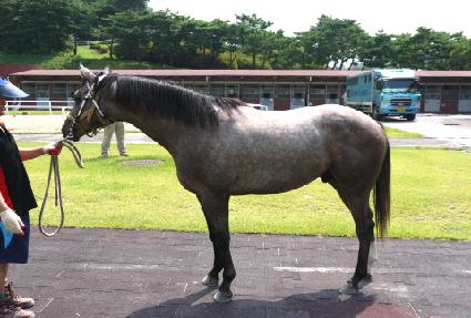 �¿��� ����