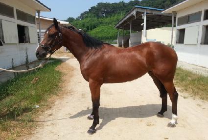 ���������� ����