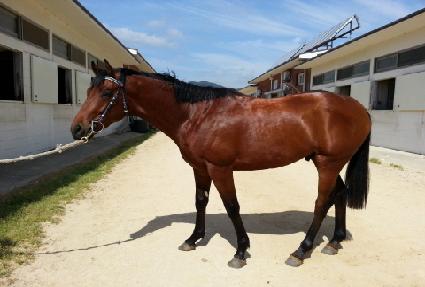 ������ ����