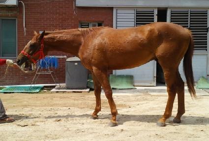 �������ܸ��� ����