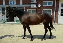 ���������� (FOREVER MARINE) ����