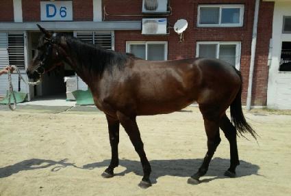 ���������� ����