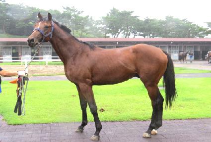 �Ϻ� ����