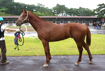 ī����� ����