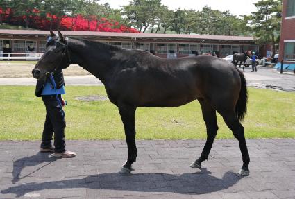 ��������Ʈ ����