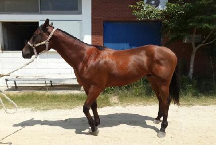 �������� ����