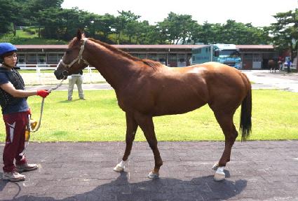 ������ ����