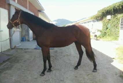 �ο���Ƽ�� ����