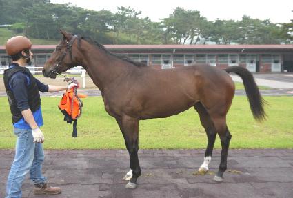 Ÿ��Ʋĳó ����