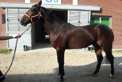 ������Ÿ ����