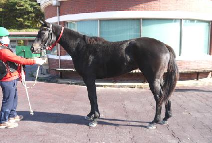 ���ǵ����� ����