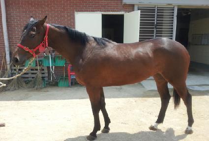 �������屺 ����