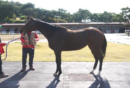 �������� ����