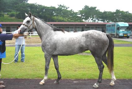 ���� ����