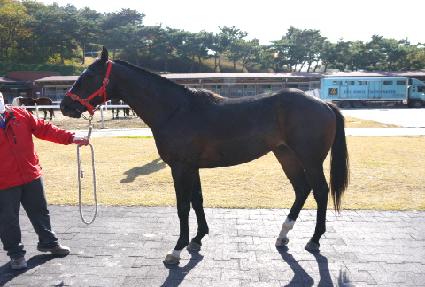 �¸��Ŀ� ����