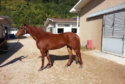 ������� ����